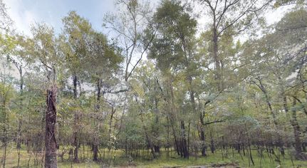 Recreational Property for sale in Liberty County, Texas