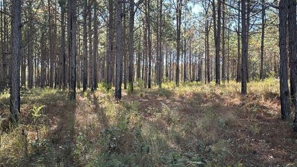 Timberland Property for sale in Screven County, Georgia