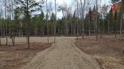Undeveloped Land for sale in Penobscot County, Maine