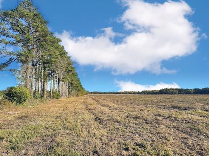 Farm Property for sale in Marlboro County, South Carolina