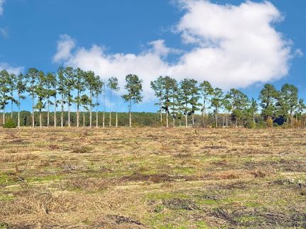 Ranch Property for sale in Marlboro County, South Carolina