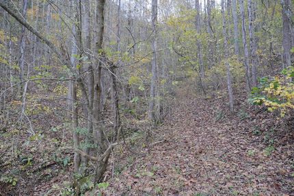 Hunting Land for sale in Scott County, Virginia