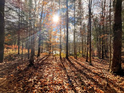 Property for sale in Saint Lawrence County, New York