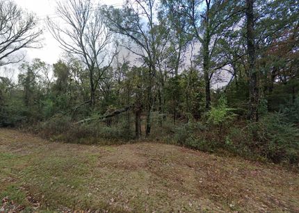 Ranch Property for sale in Camp County, Texas