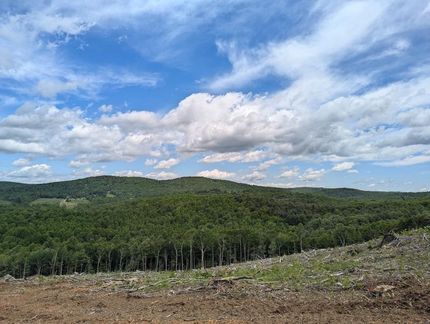 Property for sale in Floyd County, Virginia