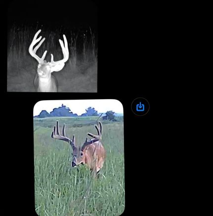 Timberland Property for sale in Nemaha County, Nebraska