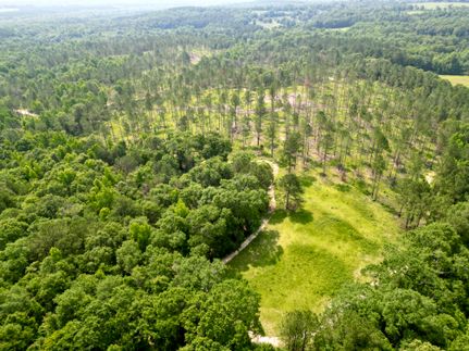 Property for sale in Pike County, Alabama