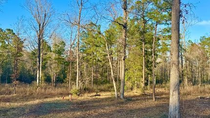 Recreational Property for sale in Sabine County, Texas