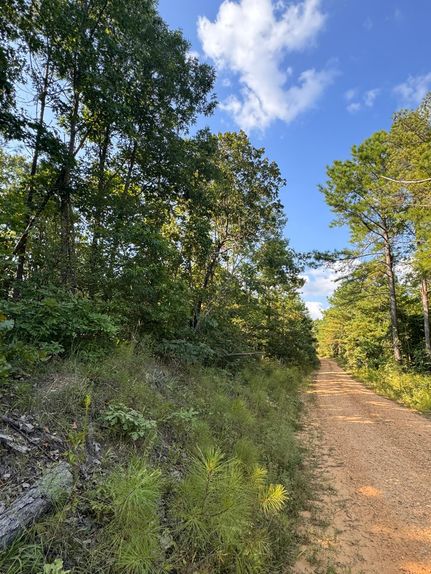 Undeveloped Land for sale in Lamar County, Alabama