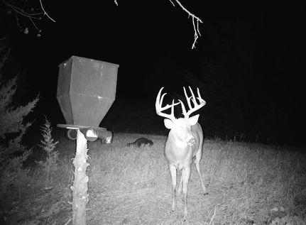 Timberland Property for sale in Jewell County, Kansas