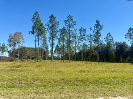 Recreational Property for sale in Suwannee County, Florida