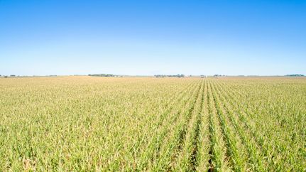 Property for sale in Sac County, Iowa