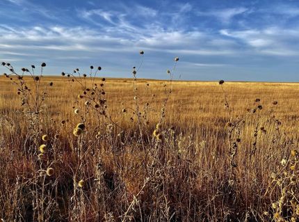 Property for sale in Kiowa County, Colorado