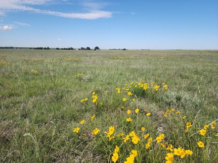 Hunting Land for sale in Elbert County, Colorado