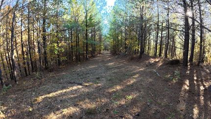 Undeveloped Land for sale in Perry County, Tennessee