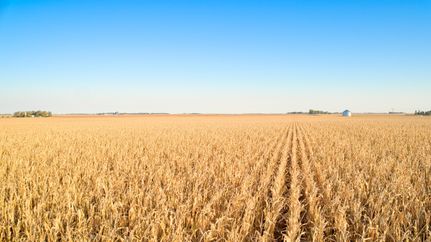 Property for sale in Dickinson County, Iowa