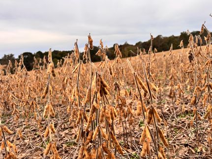 Farm Property for sale in Hardin County, Illinois