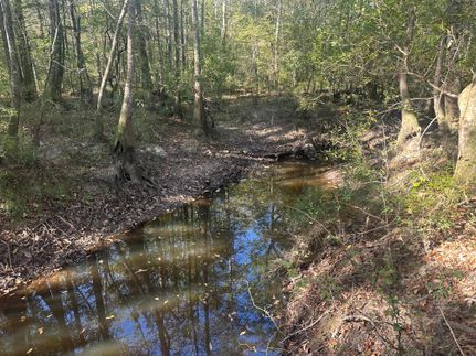 Timberland Property for sale in Clarke County, Mississippi