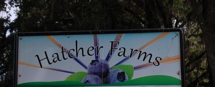 Property for sale in Alachua County, Florida