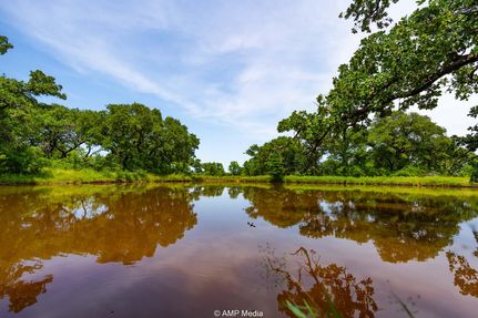 Ranch Property for sale in Jack County, Texas