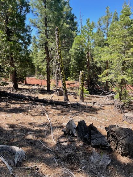 Property for sale in Modoc County, California