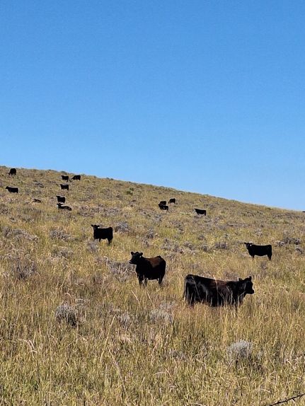 Ranch Property for sale in Yuma County, Colorado