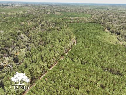 Hunting Land for sale in Ware County, Georgia