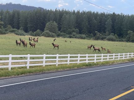 Recreational Property for sale in Douglas County, Oregon