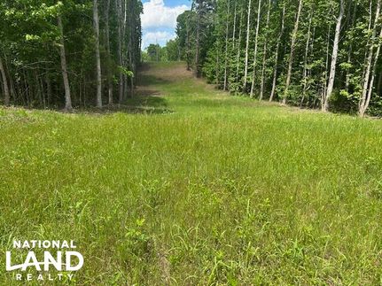 Property for sale in Wayne County, Tennessee