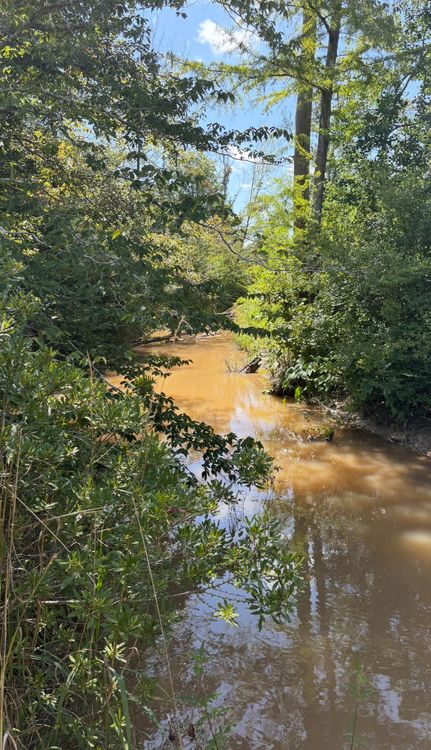 Residential Property for sale in Newton County, Texas