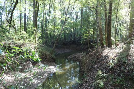 Hunting Land for sale in Sabine County, Texas