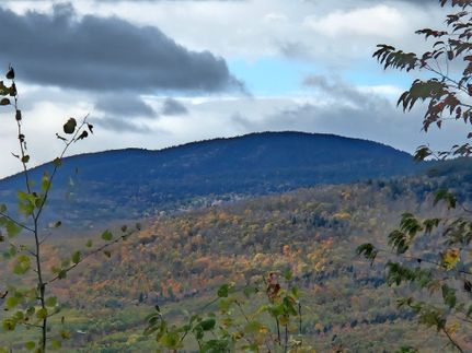 Timberland Property for sale in Oxford County, Maine