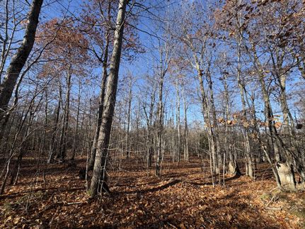 Property for sale in Keweenaw County, Michigan