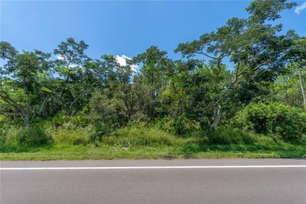 Undeveloped Land for sale in Polk County, Florida