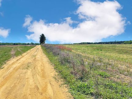 Farm Property for sale in Marlboro County, South Carolina