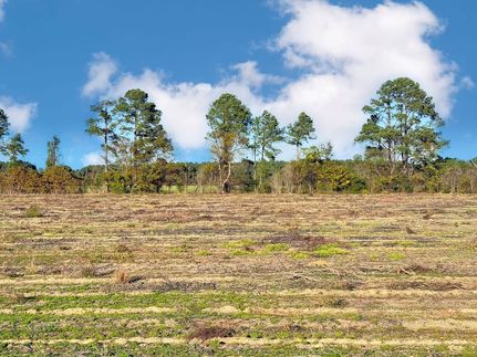 Farm Property for sale in Marlboro County, South Carolina