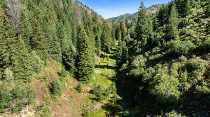 Timberland Property for sale in Garfield County, Colorado