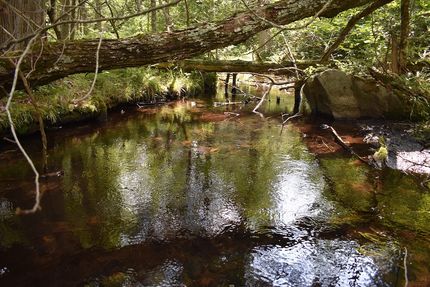 Farm Property for sale in Florence County, Wisconsin