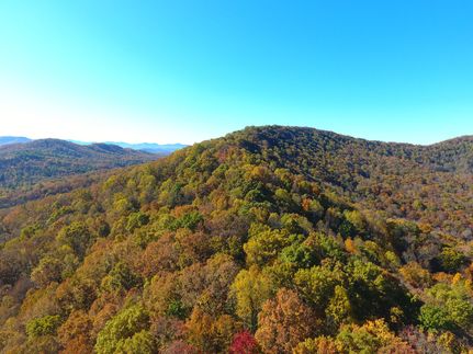 Timberland Property for sale in Union County, Georgia