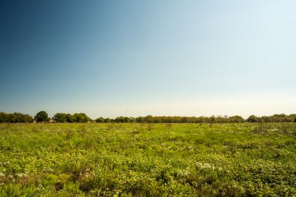 Ranch Property for sale in Fannin County, Texas