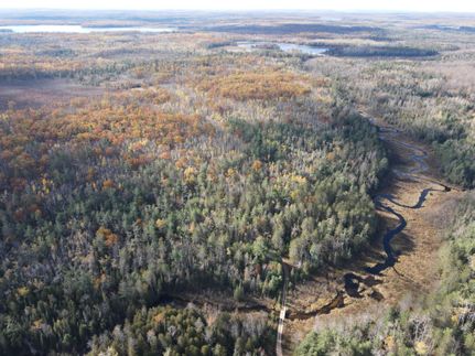 Property for sale in Montmorency County, Michigan