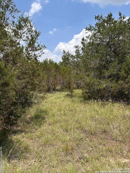 Ranch Property for sale in Comal County, Texas