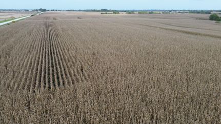 Property for sale in Lucas County, Iowa