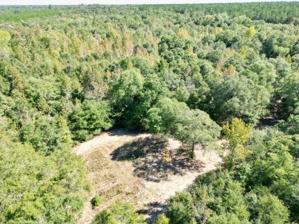 Timberland Property for sale in Randolph County, Georgia