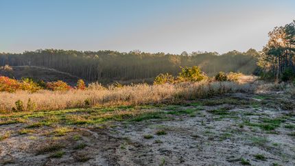 Property for sale in Attala County, Mississippi