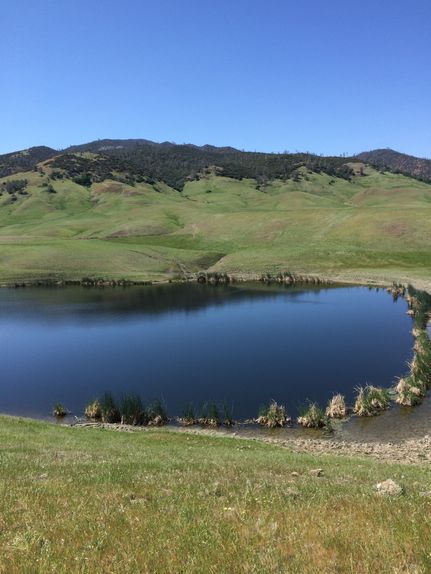 Property for sale in Glenn County, California