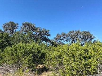 Horse Property for sale in Bandera County, Texas