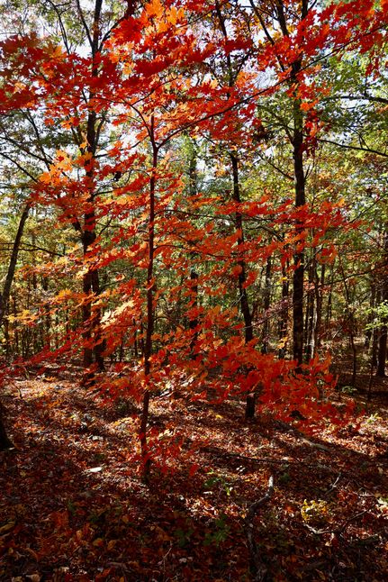 Residential Property for sale in Le Flore County, Oklahoma