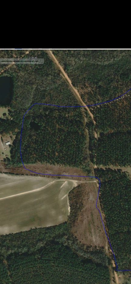 Property for sale in Emanuel County, Georgia