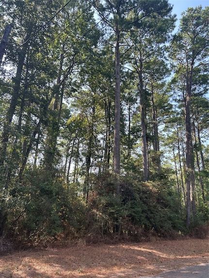 Property for sale in Polk County, Texas